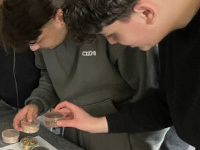 Berufsorientierung hautnah!